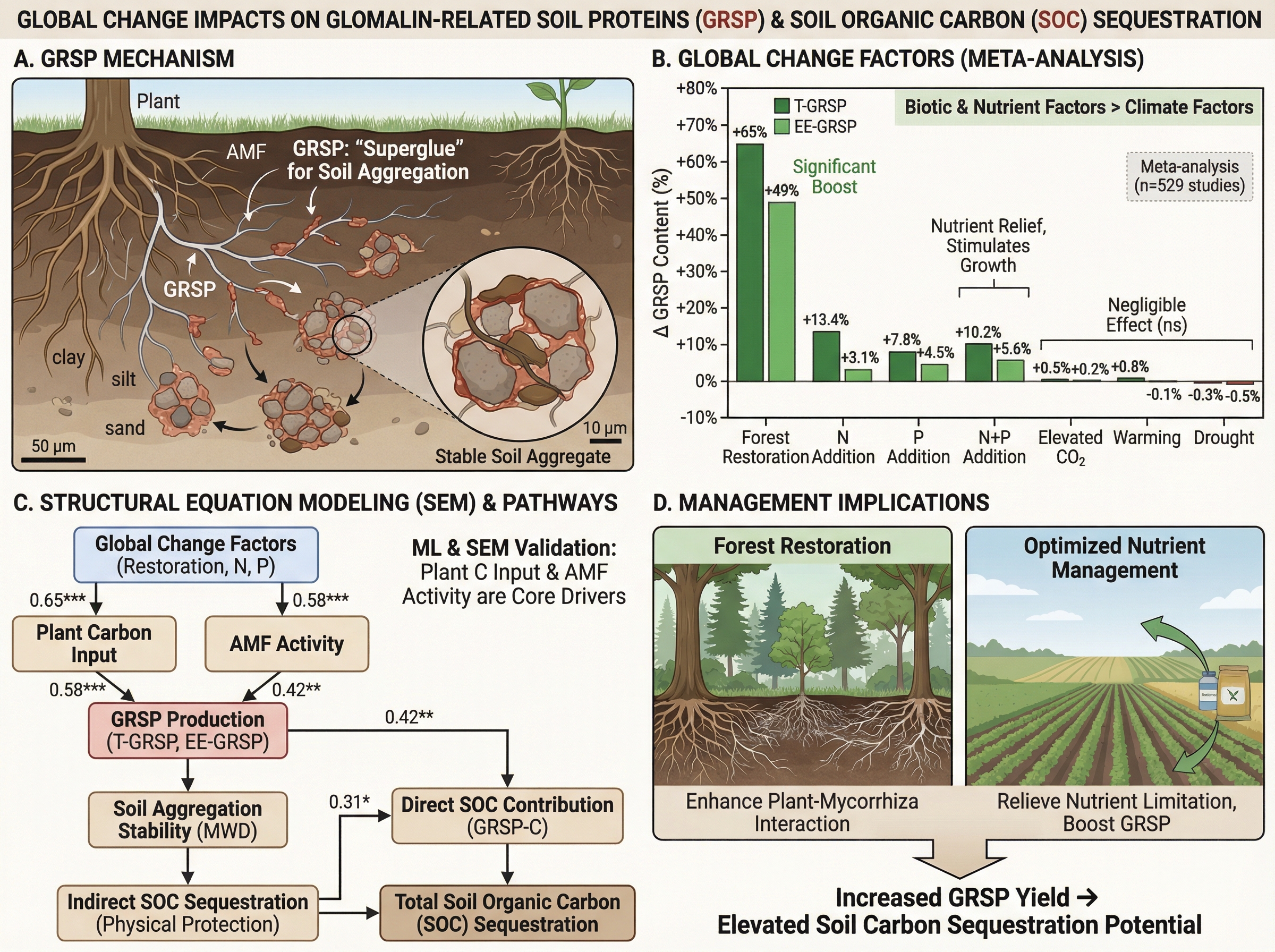 Soil Glomalin Mechanism