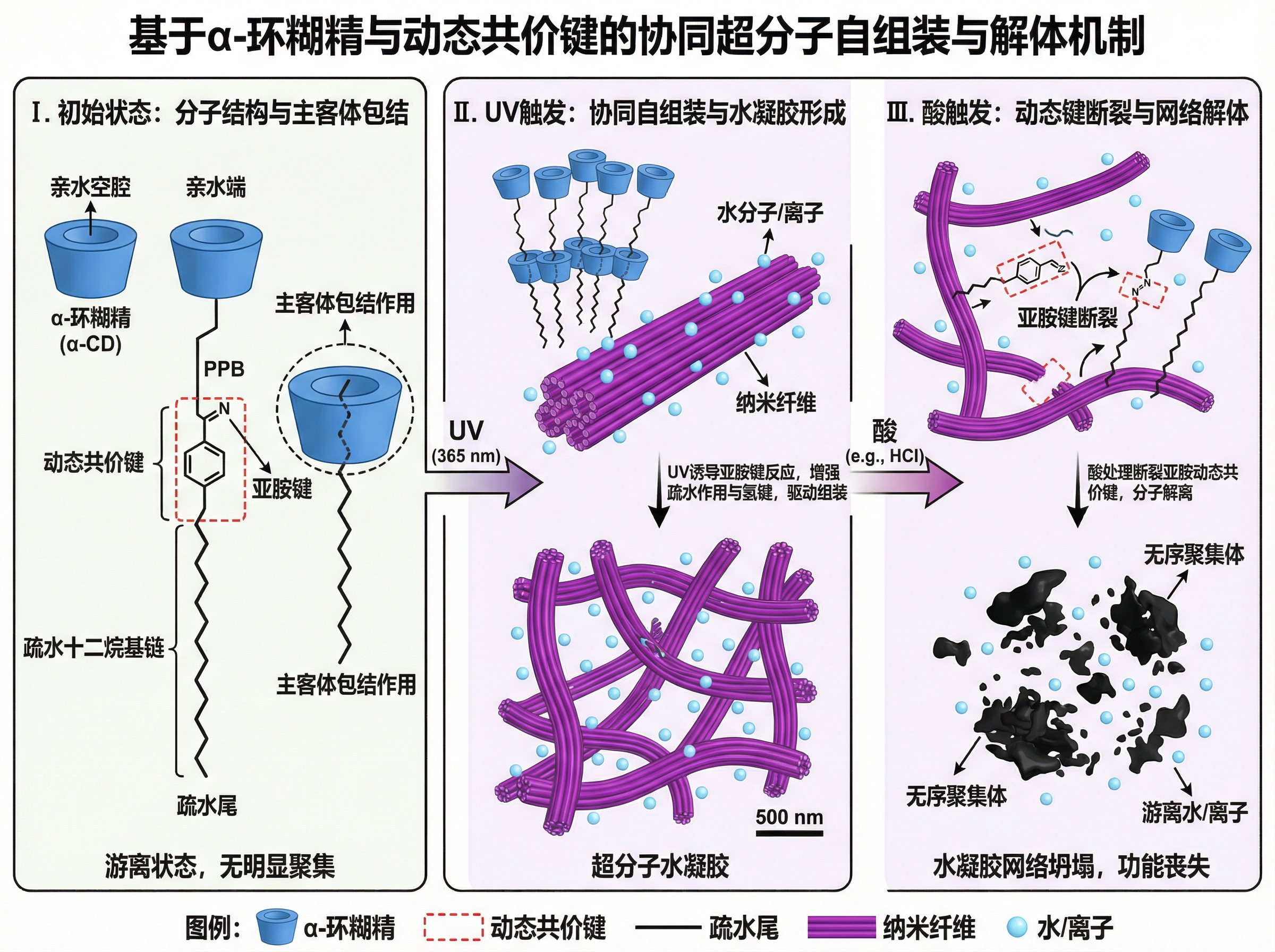 Supramolecular Complex