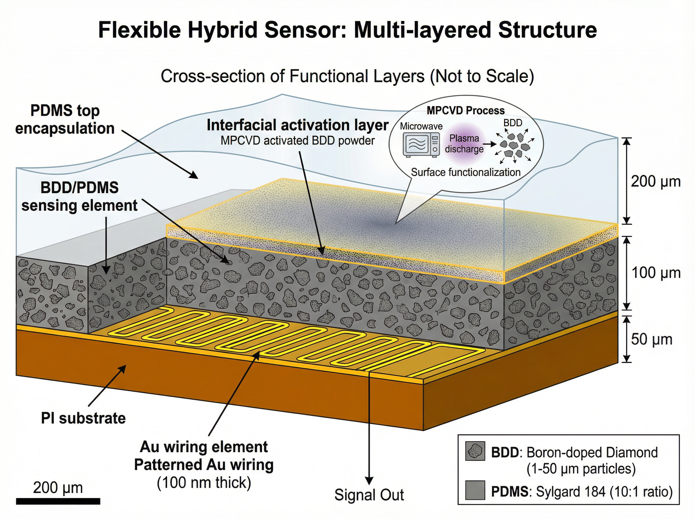 Polycide A detailed cross-sectional schematic diagram depicts a fl... | SciDraw ...