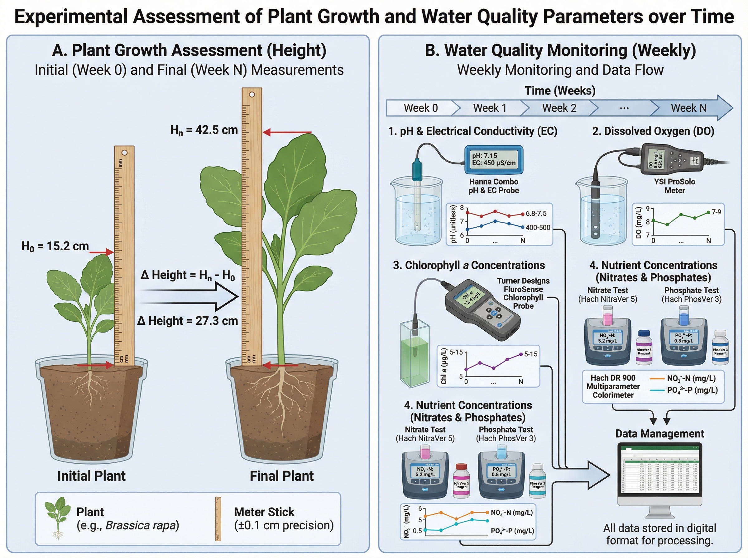 Plant growth was assessed at the beginning and end of the... | SciDraw ...