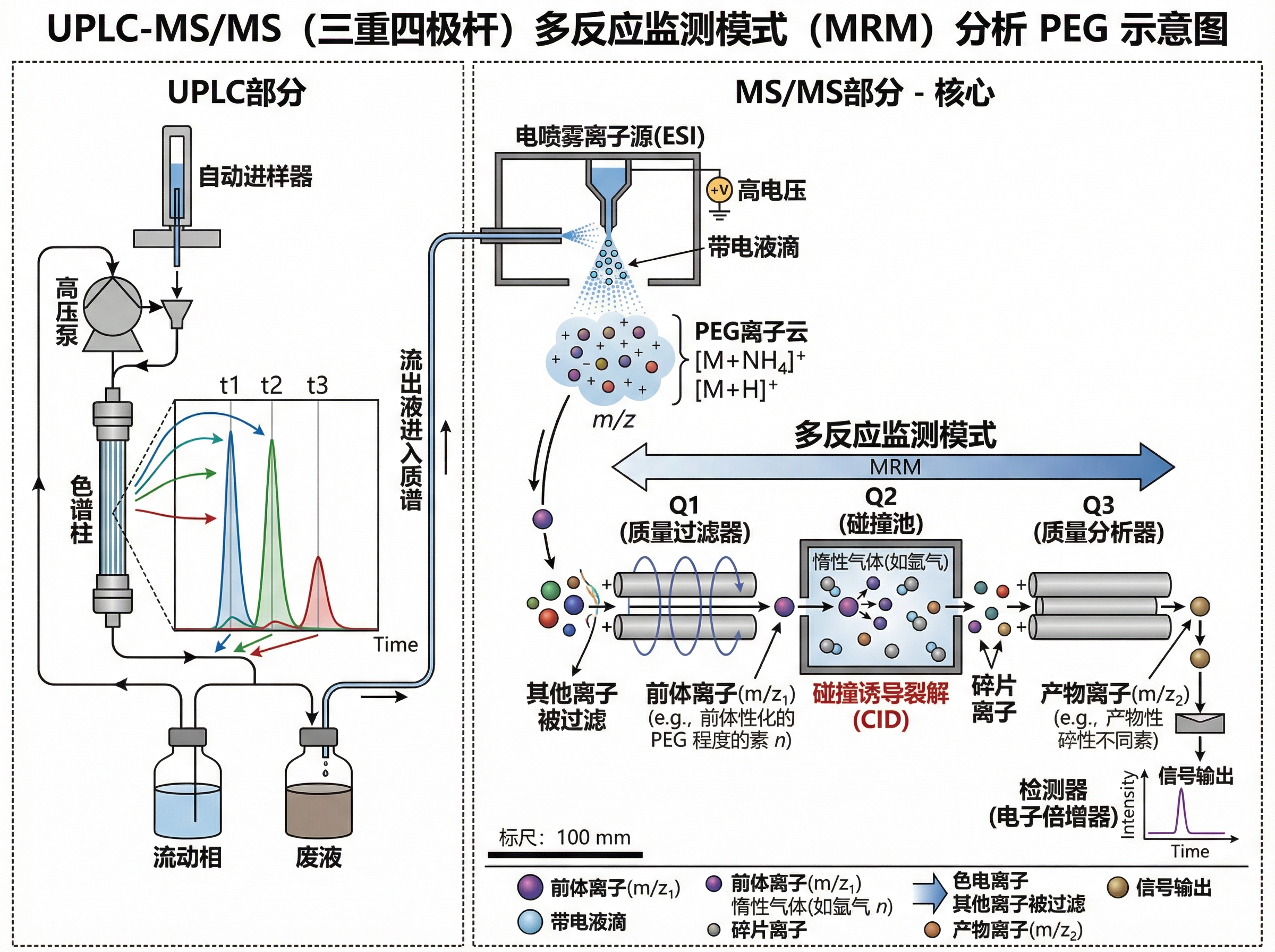 UPLC-MS System