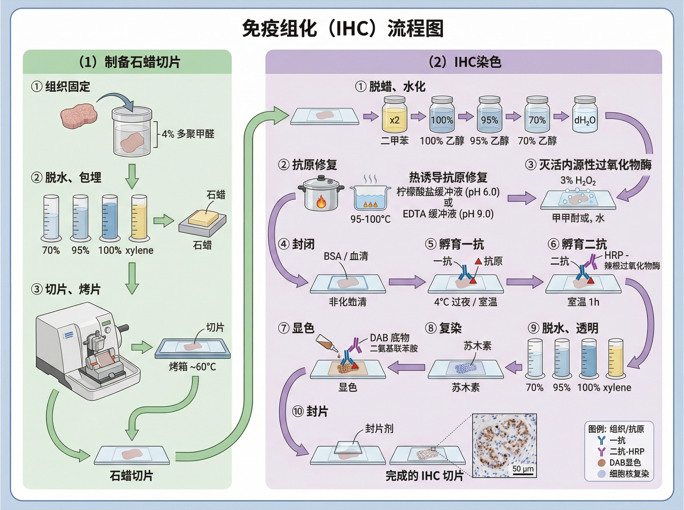IHC Flowchart