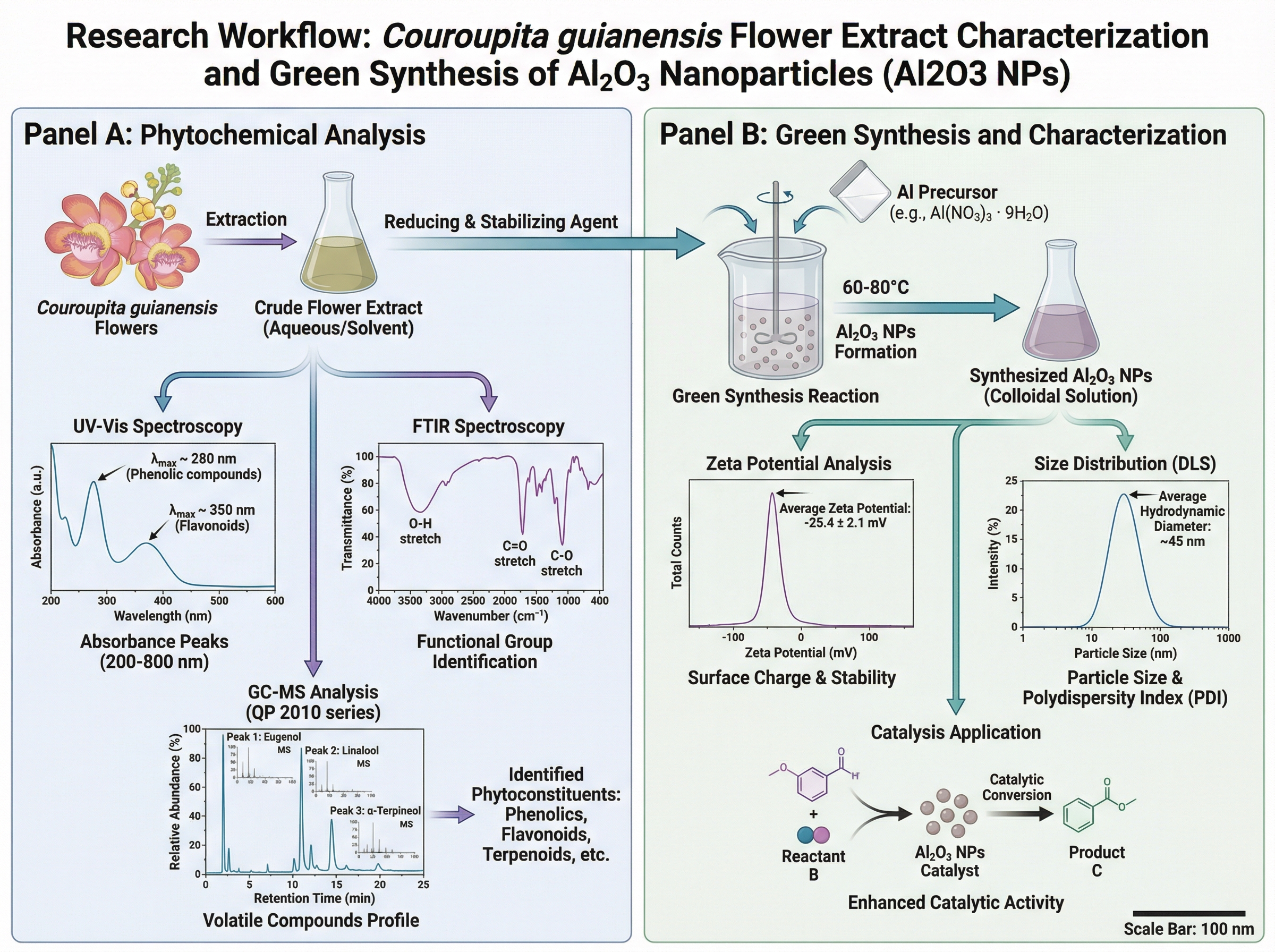 This scientific diagram illustrates a research workflow f... | SciDraw ...