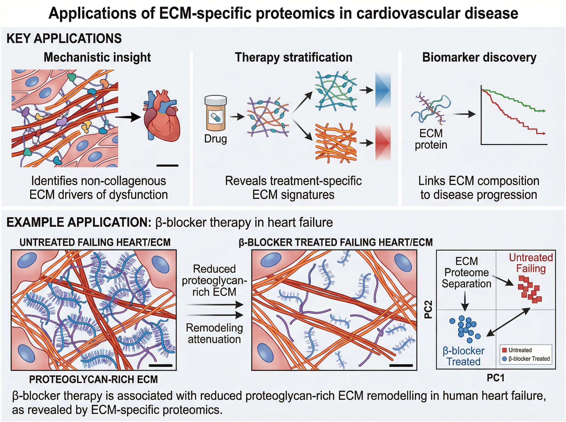 ECM Proteomics