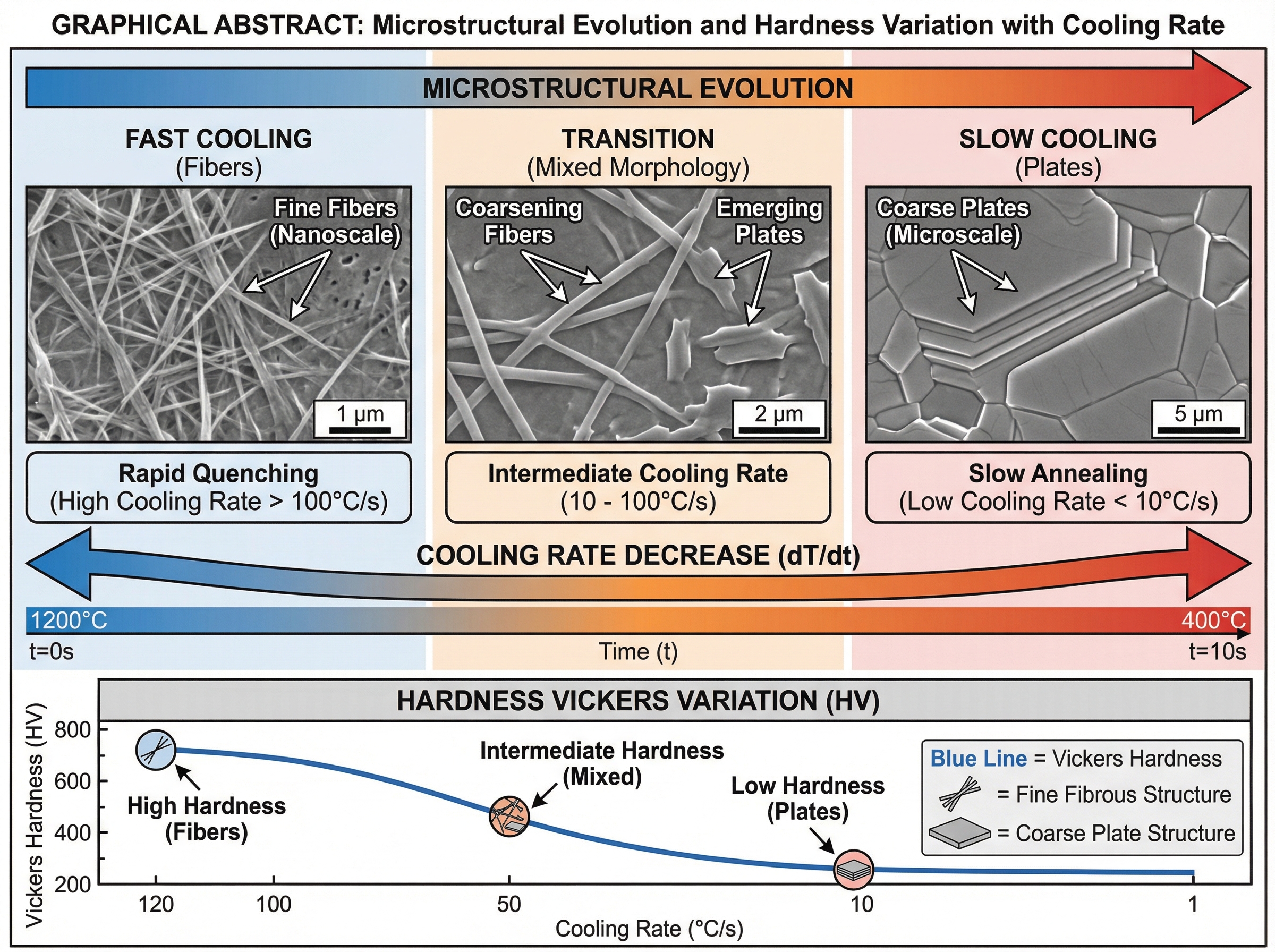 The morphology of the material transitions from fibers to... | SciDraw ...