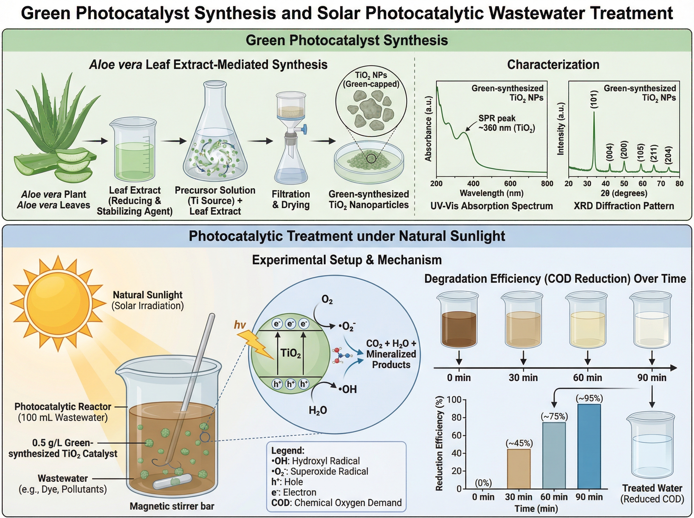 Green synthesis of titanium dioxide (TiO₂) nanoparticles ... | SciDraw ...