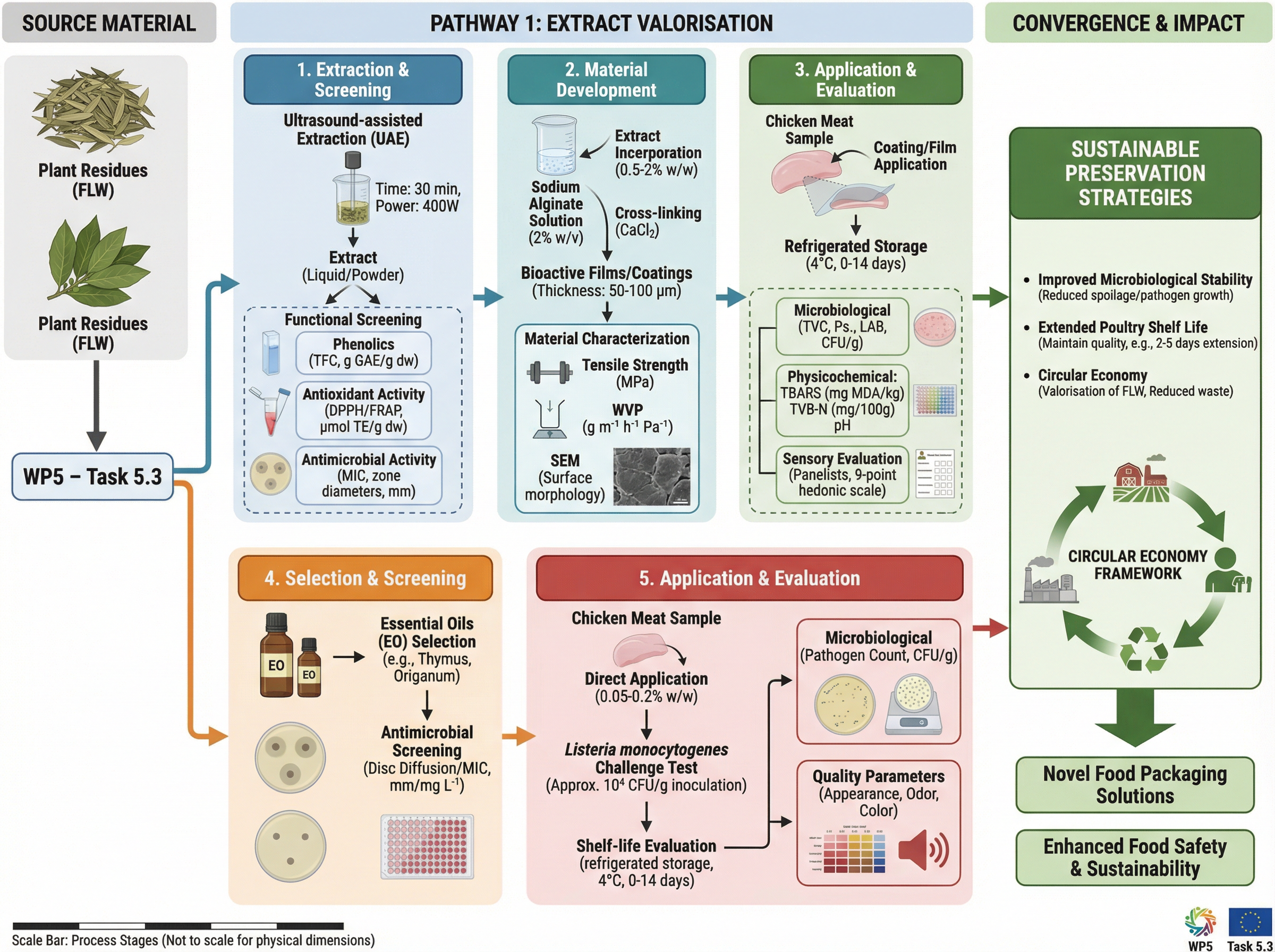 A scientific workflow diagram was created to illustrate t... | SciDraw ...