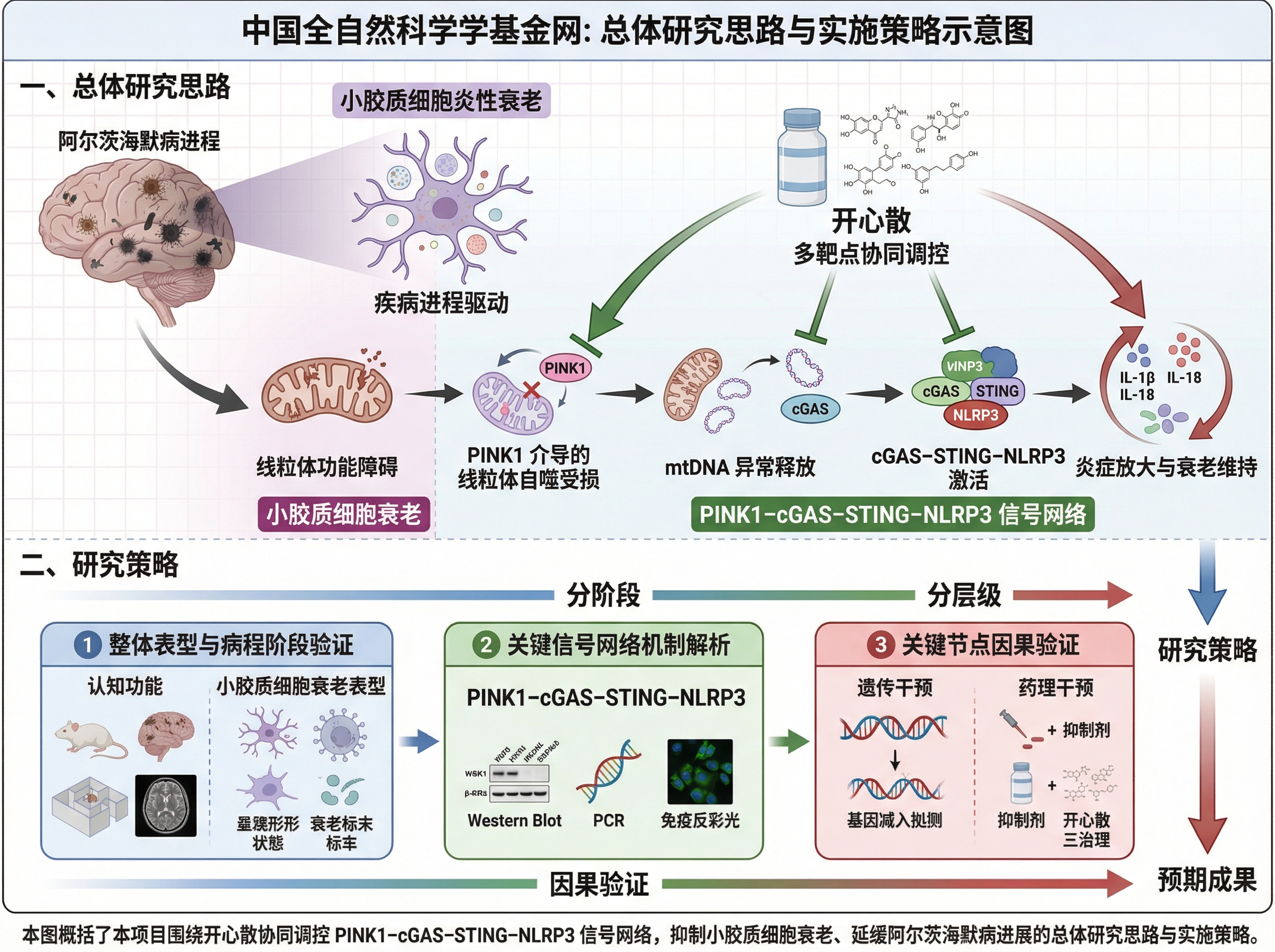 案例5-总体研究思路与实施策略