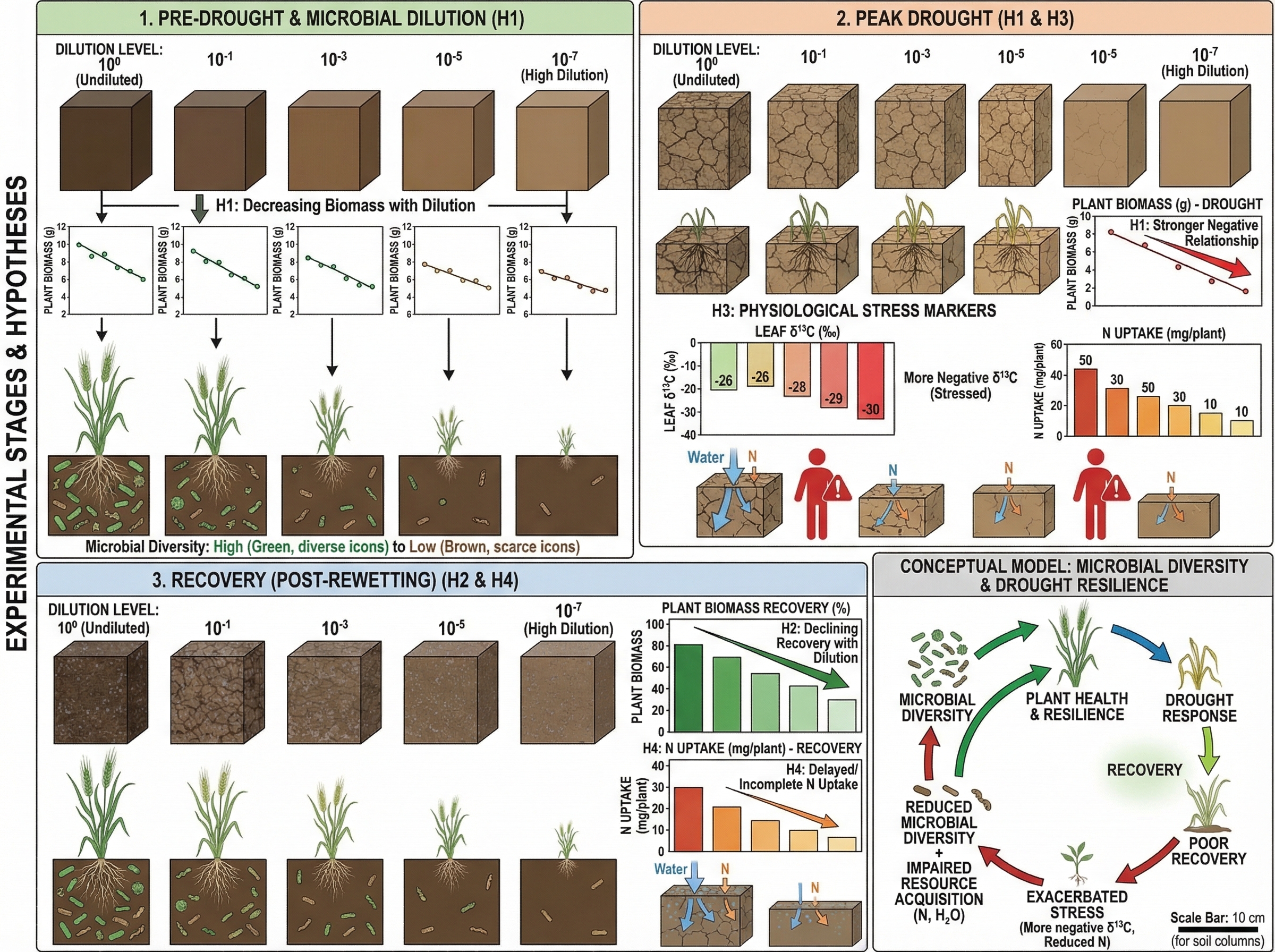 Sip Hypothesis Example Illustration Request for Hypotheses: This study experime... | SciDraw ...