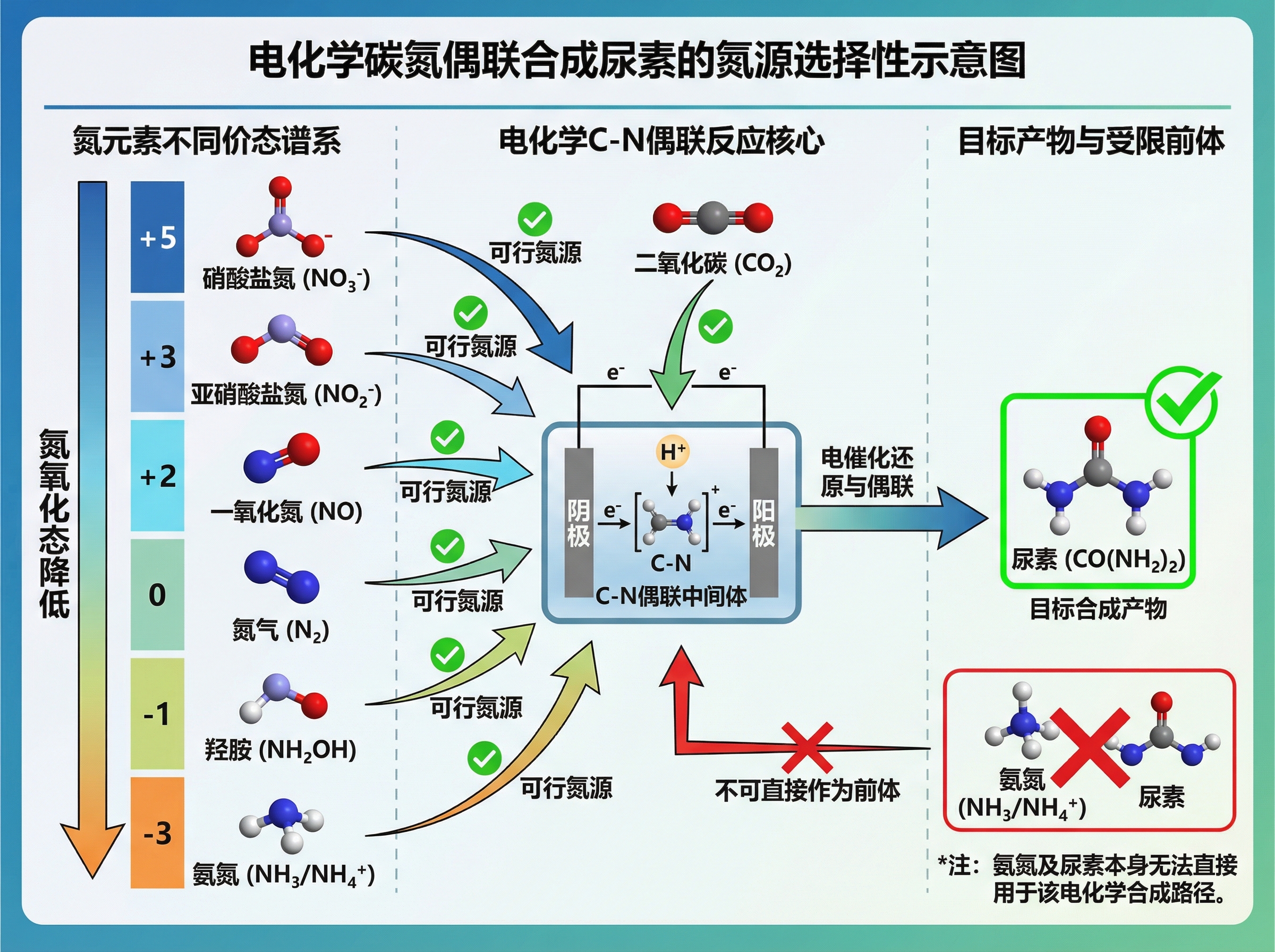 Electrochemical C-N Coupling