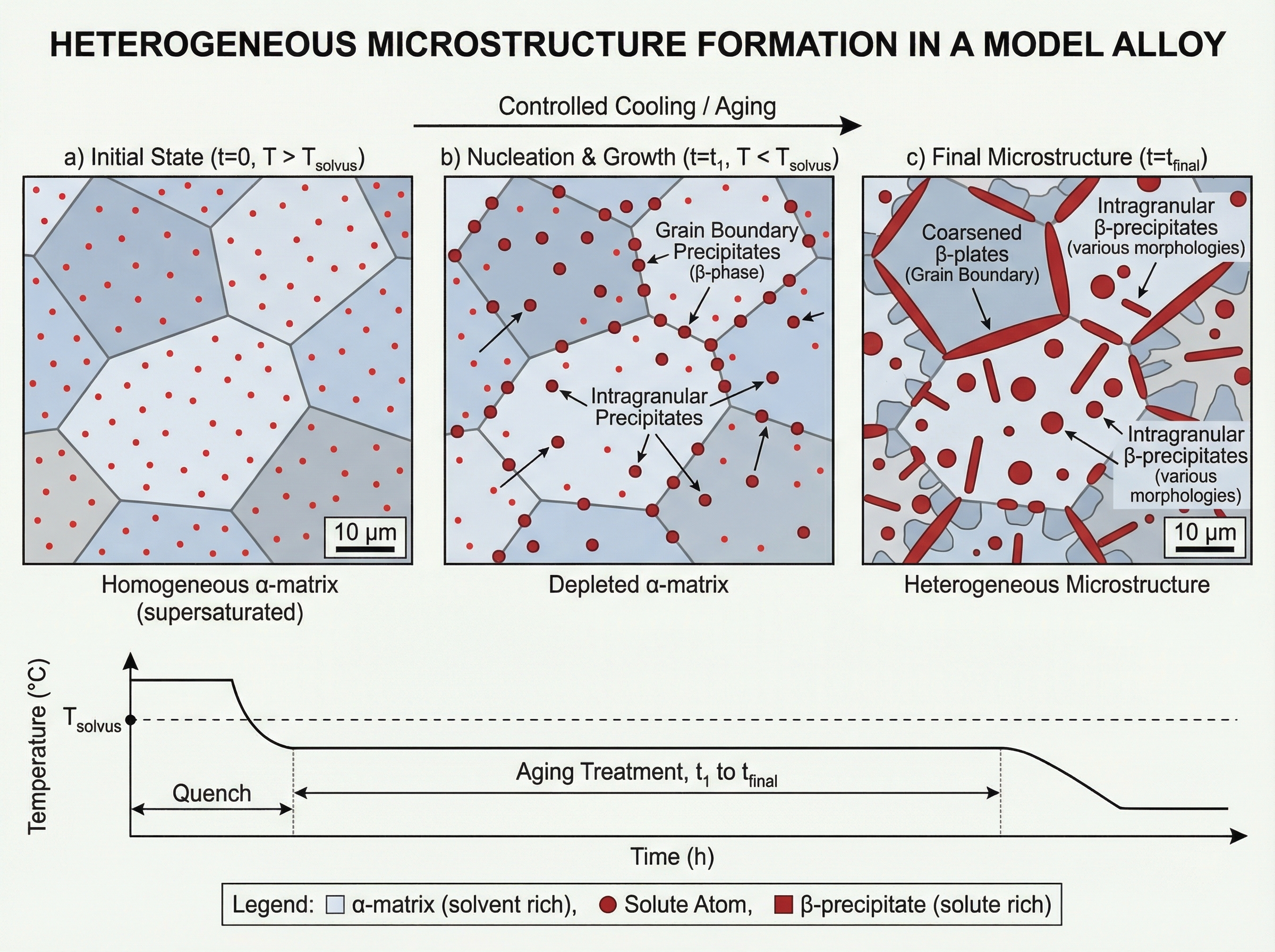 Formation of heterogeneous microstructures | SciDraw AI Gallery