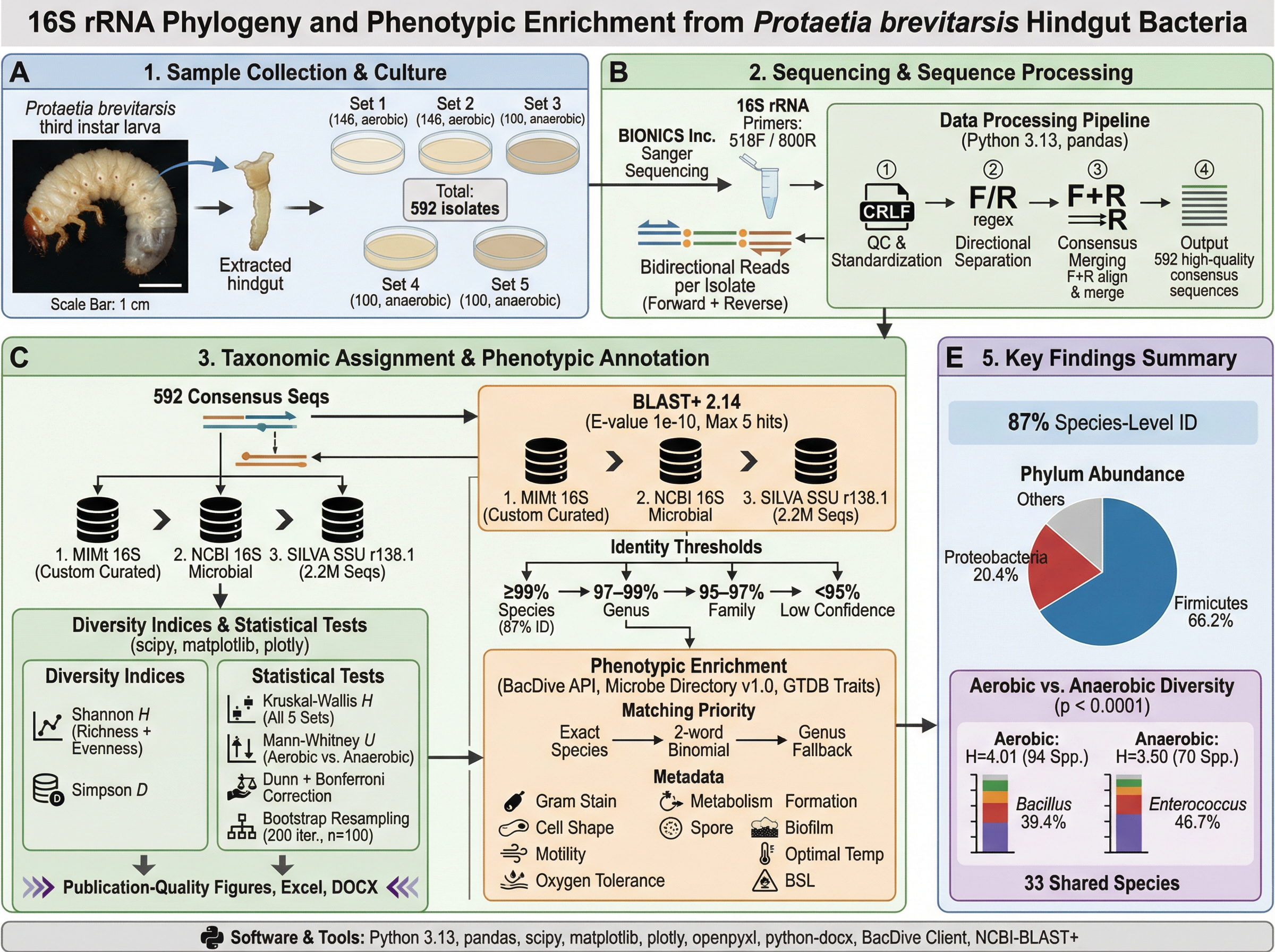 Generate a workflow diagram suitable for publication in F... | SciDraw ...