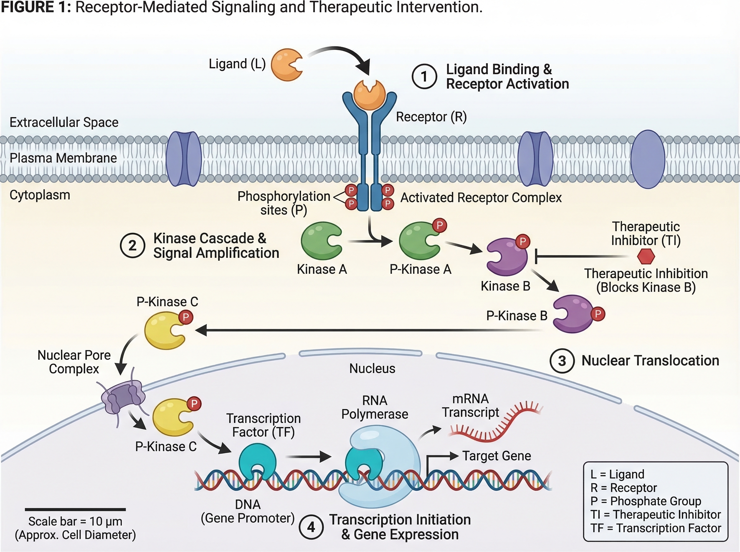 Mechanism diagram example