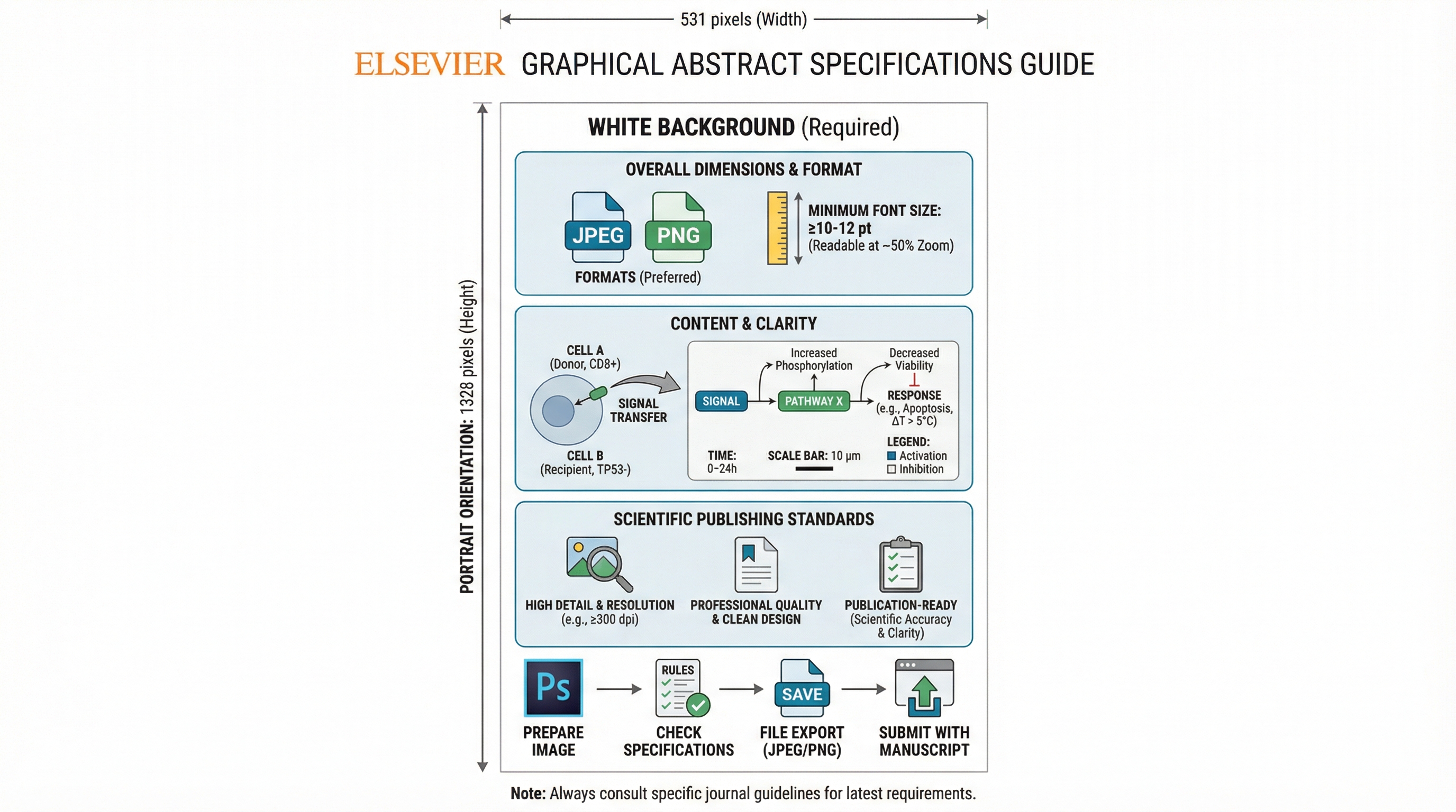 Elsevier graphical abstract specifications