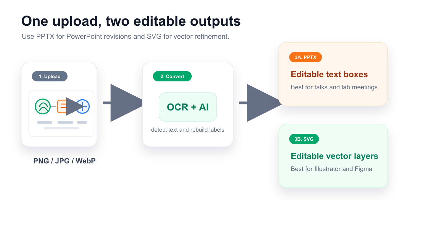 One upload can produce editable PPTX for PowerPoint and editable SVG for vector editing