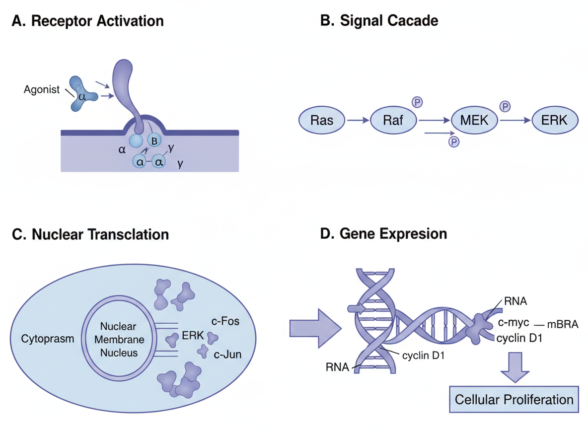 Multi-panel Scientific Figure