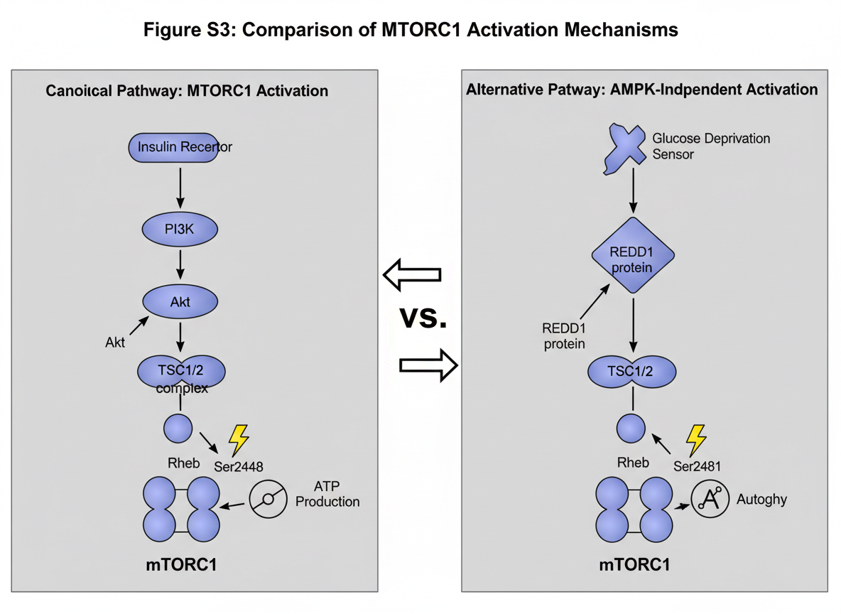 Publication-Ready Figure