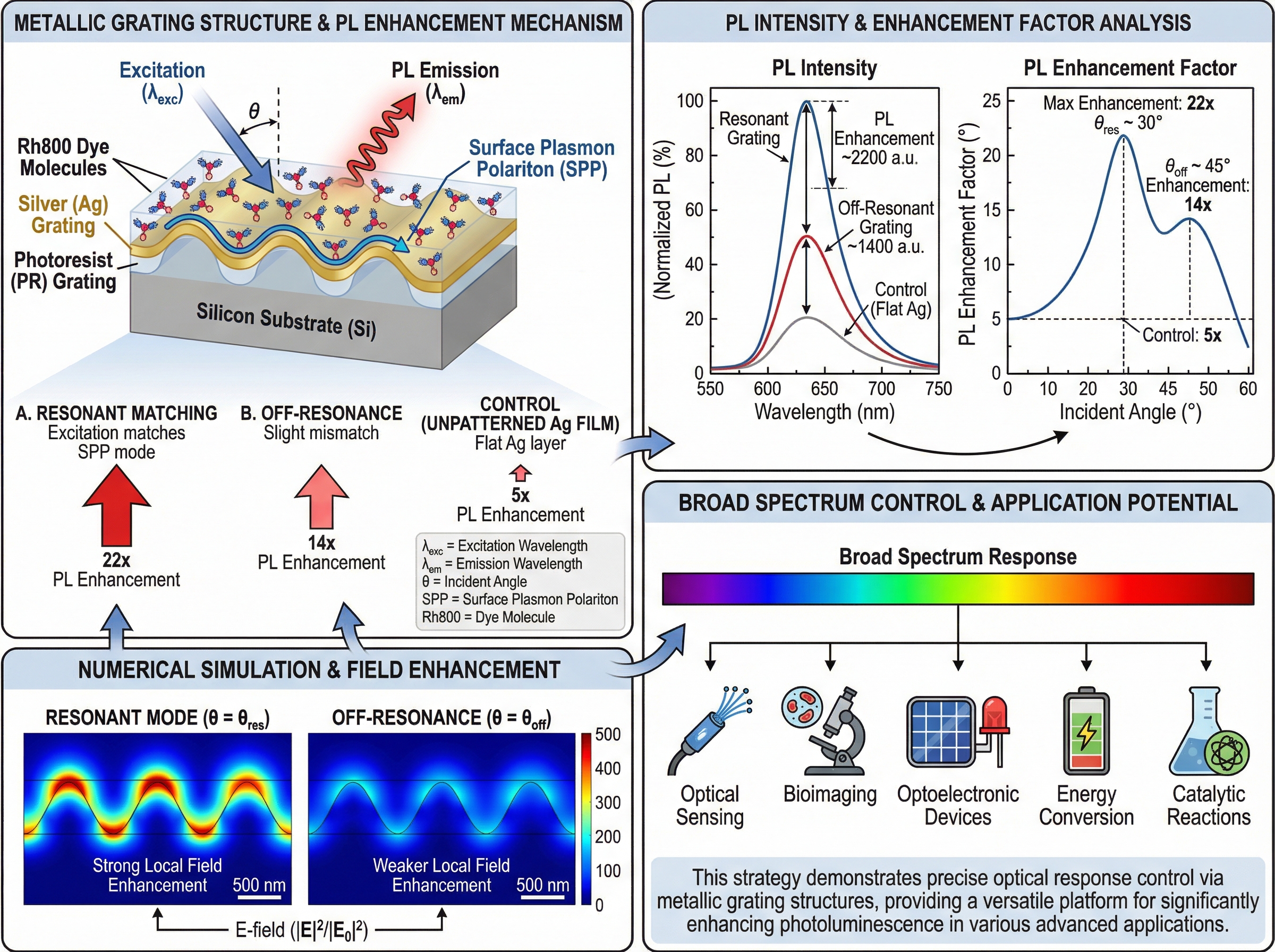 Scientific Illustration Styles