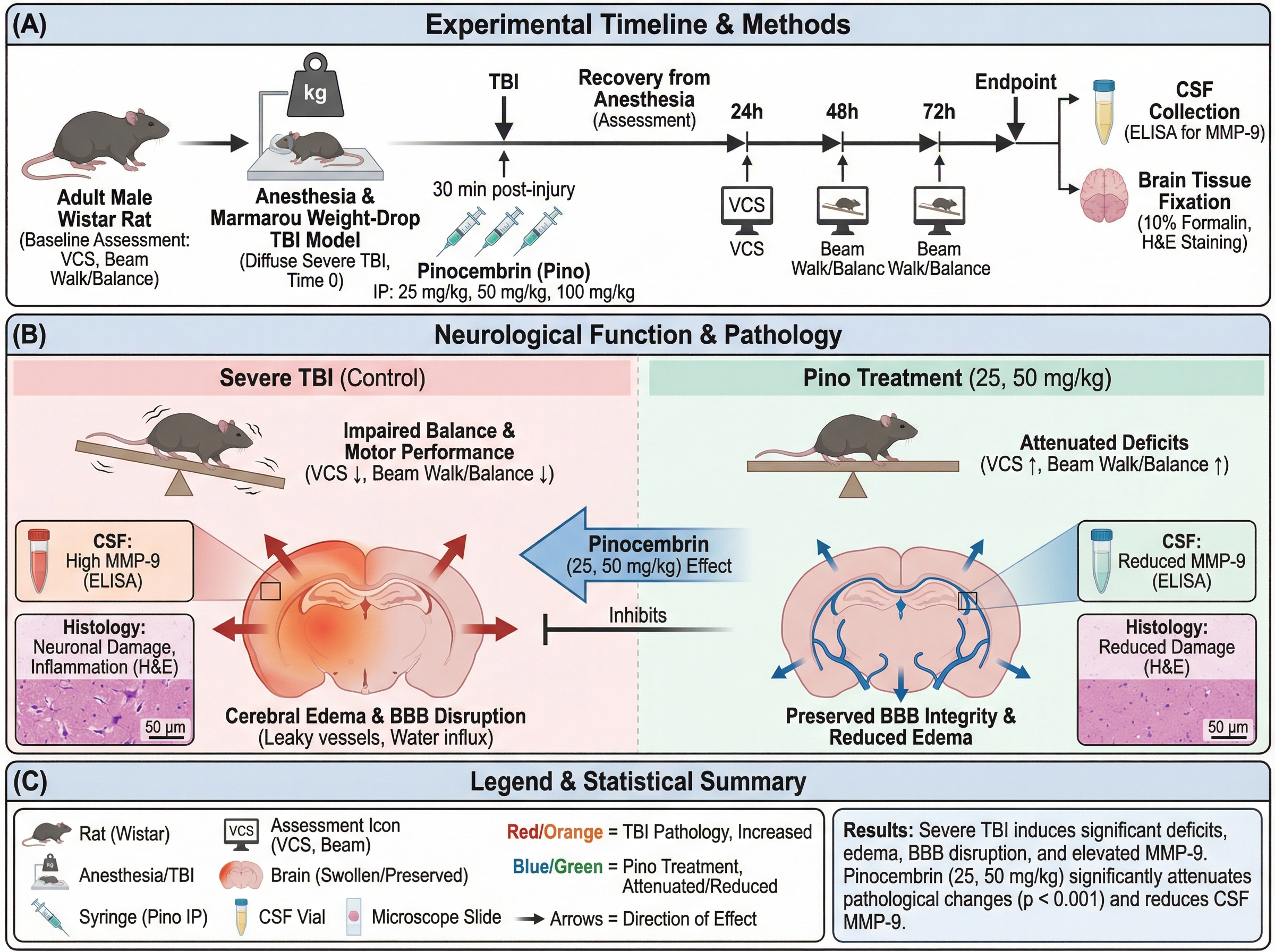 AI Tools for Research