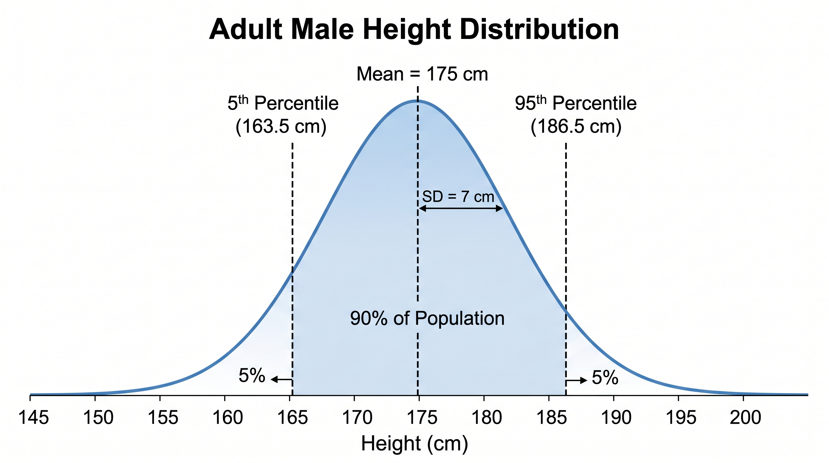 Distribuzione dell'Altezza degli Adulti — Curva gaussiana delle altezze degli uomini adulti con media 175 cm e DS 7 cm, con il 5° e il 95° percentile marcati con linee verticali etichettate.