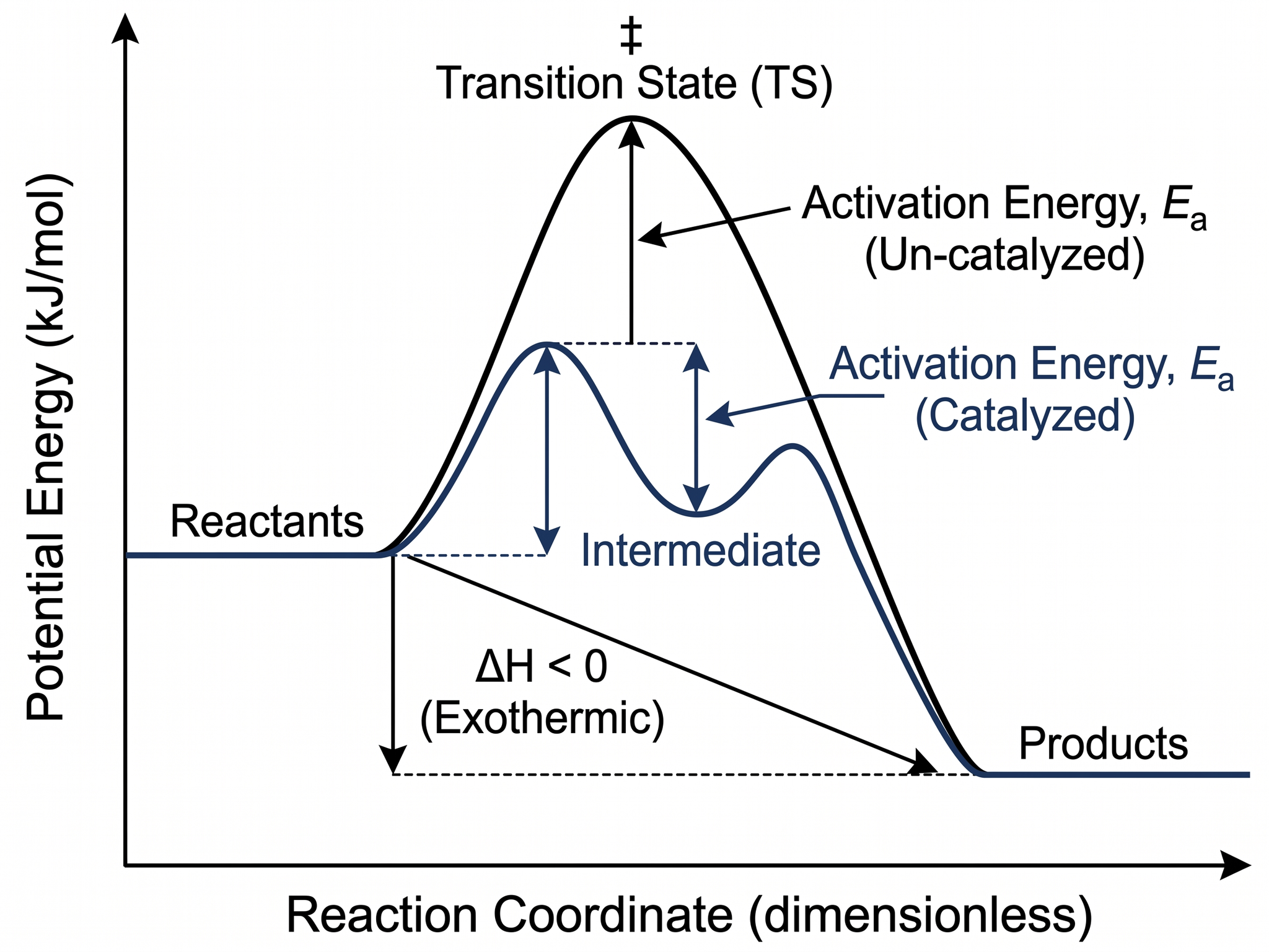 Energiediagramm — Reaktionsenergieverlauf mit Aktivierungsenergie, Übergangszustand und Enthalpieänderung.