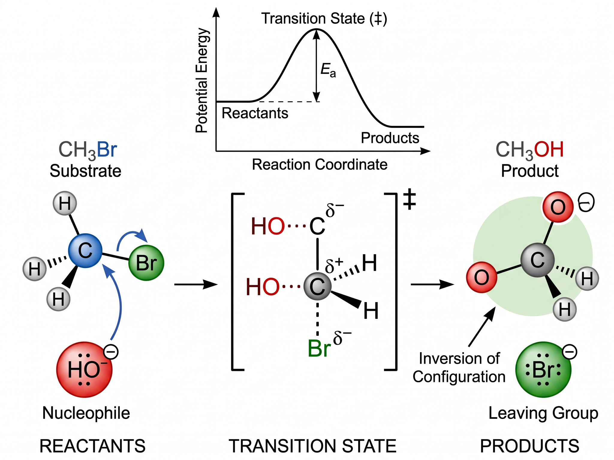 Chemie-Diagramm-Generator — Erstellen Sie Reaktionsschemata, TOC-Grafiken und molekulare Visualisierungen