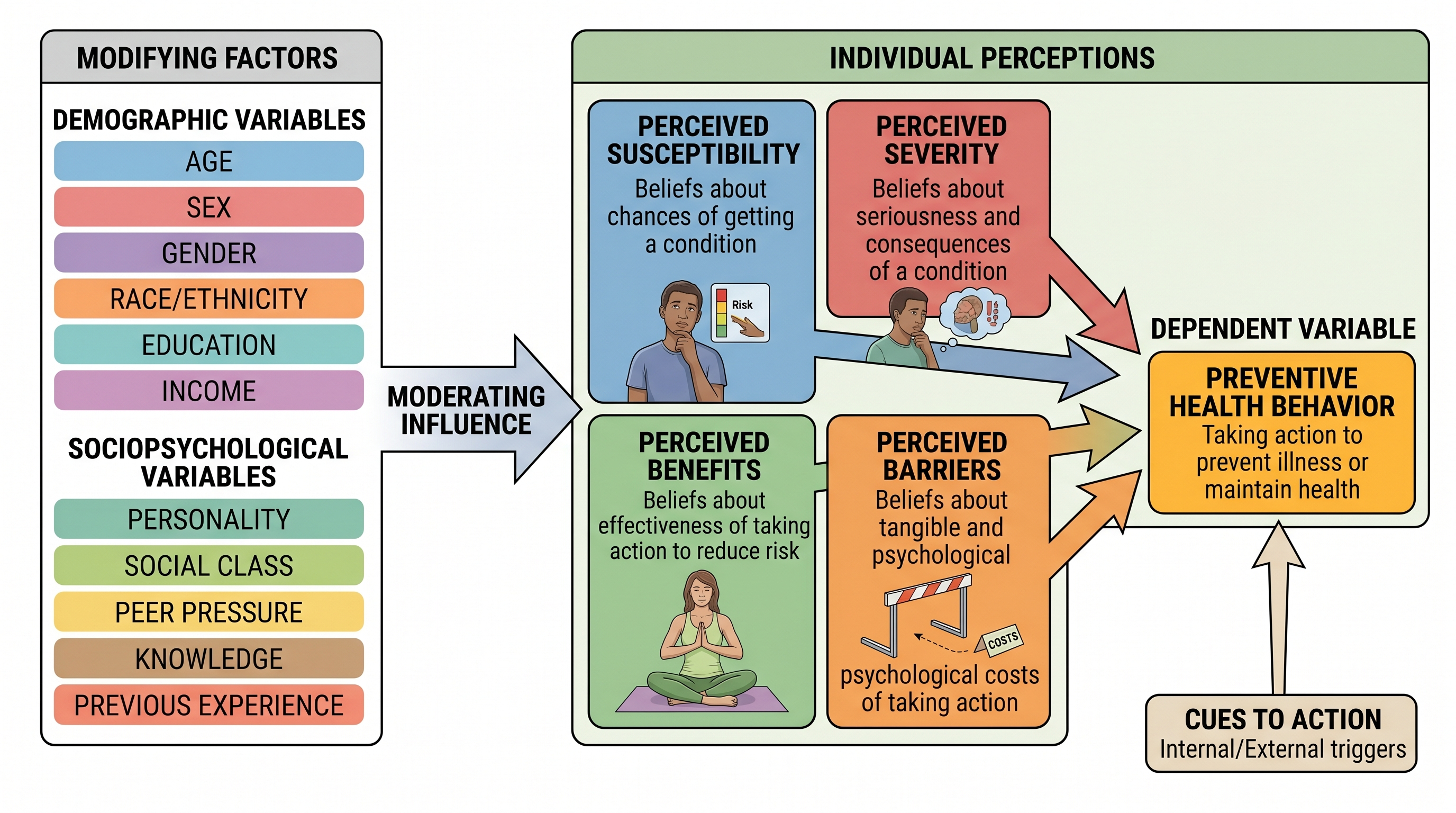 Cambiamento del Comportamento Sanitario — Framework basato sul Modello delle Credenze sulla Salute che mostra come suscettibilità, gravità, benefici e barriere percepite influenzino il comportamento preventivo.