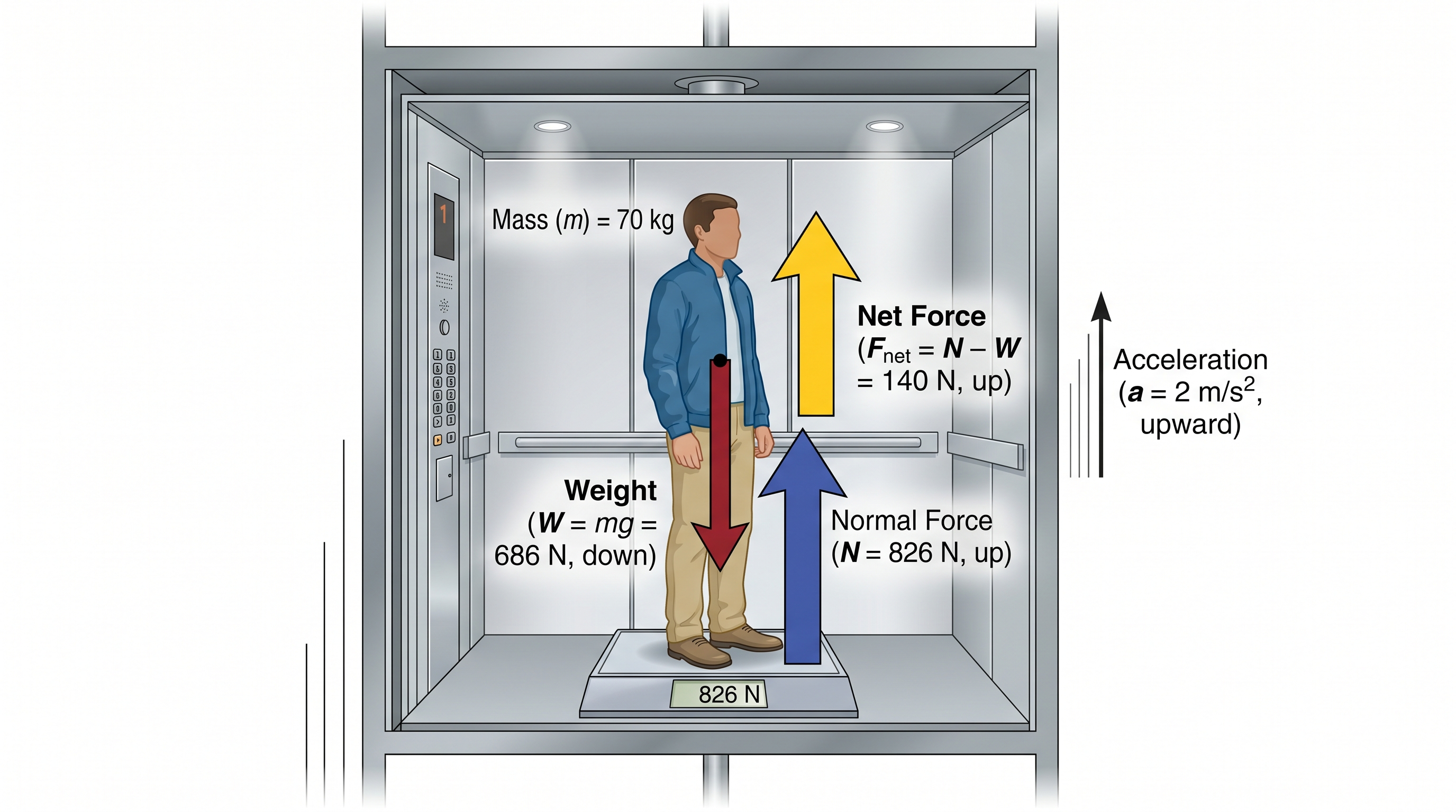 Elevator Accelerating Upward — Free body diagram of a person in an accelerating elevator showing weight downward and normal force exceeding weight.