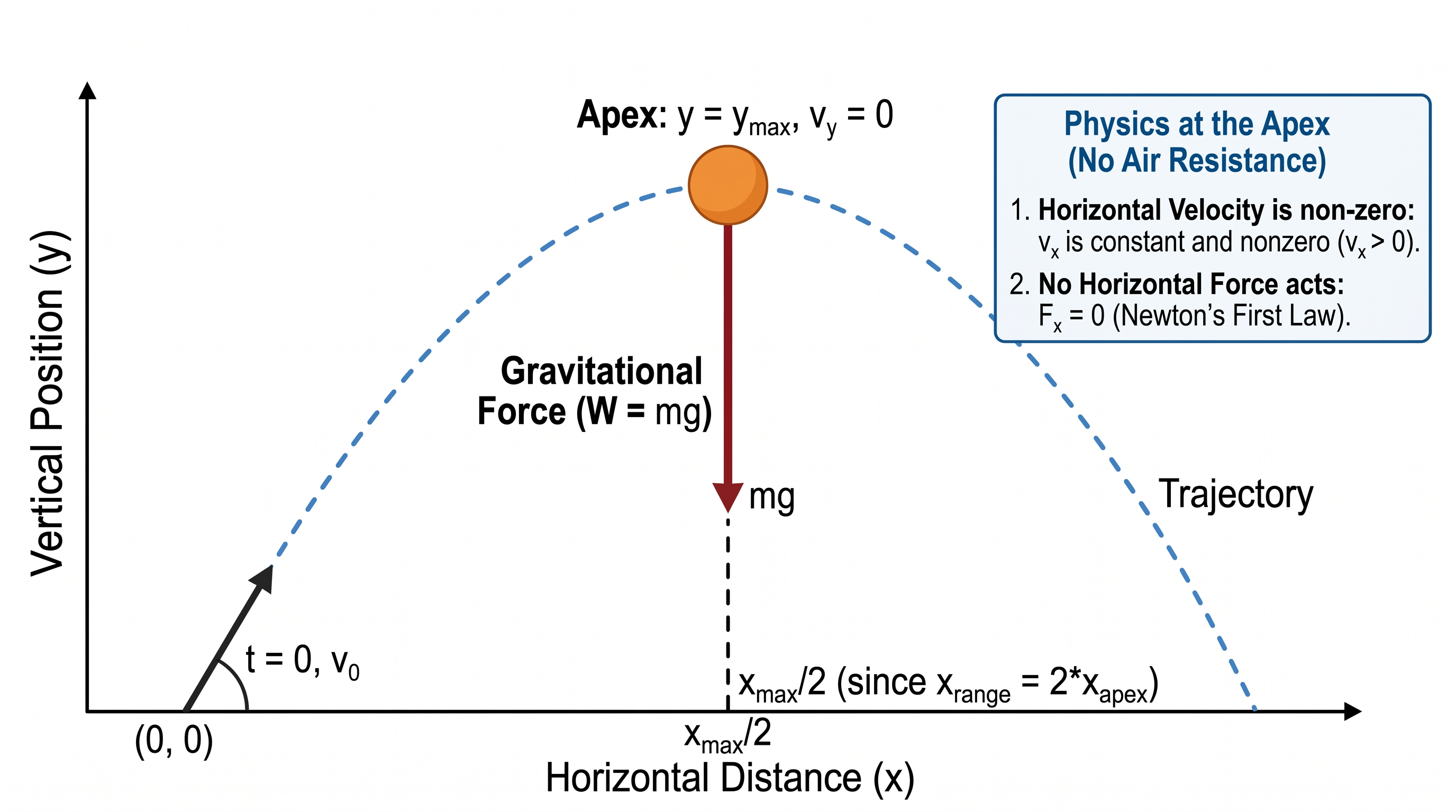 Projectile at Apex — FBD of a projectile at the top of its trajectory showing only gravitational force acting downward, no air resistance.