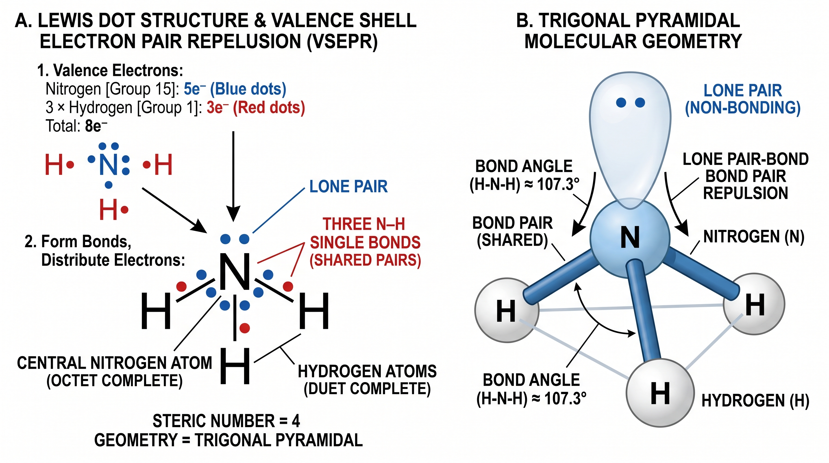 Amoniaco (NH₃) — Estructura de puntos de electrones del amoniaco con tres enlaces N–H y un par solitario en el nitrógeno, que demuestra la geometría piramidal trigonal.