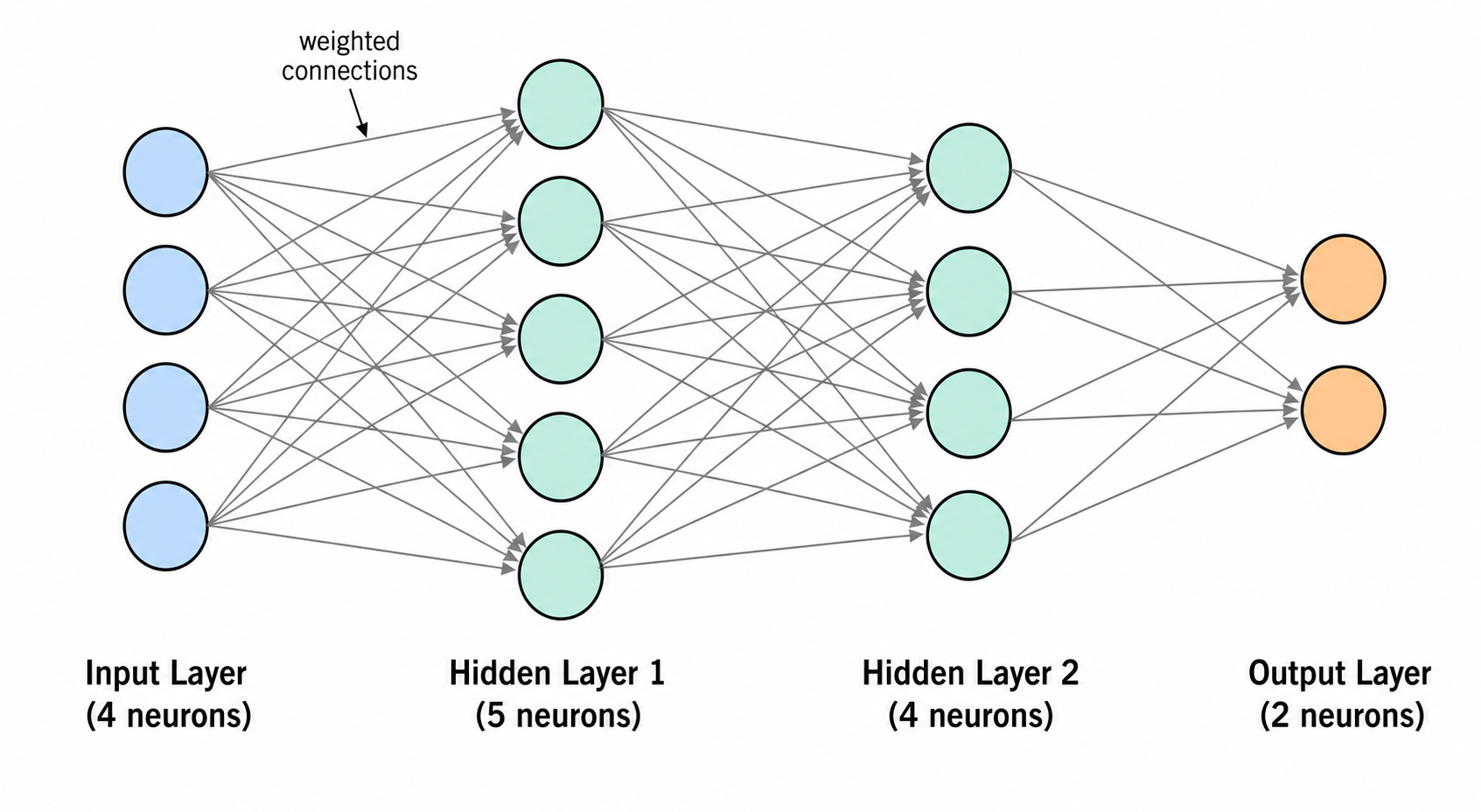 Diagrama MLP feedforward com uma camada de entrada, duas camadas ocultas e uma camada de saída mostrando neurônios totalmente conectados e contagens de neurônios legendadas por camada