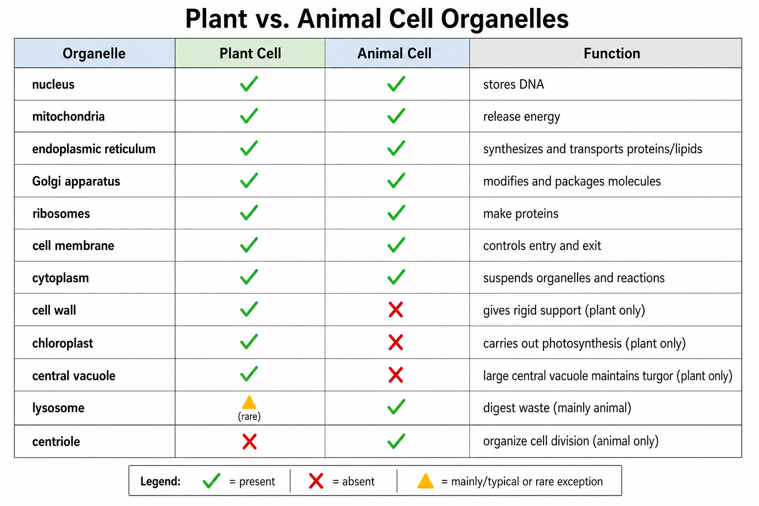 Organellen-Vergleich — Ein organellenweises Raster, das das Vorkommen in jeder Zelle mit einer einzeiligen Funktion zeigt.