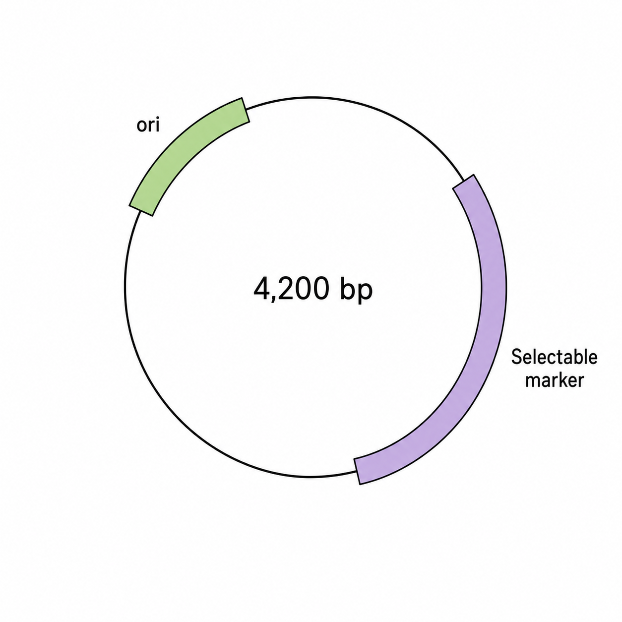 AI Plasmid Map Maker