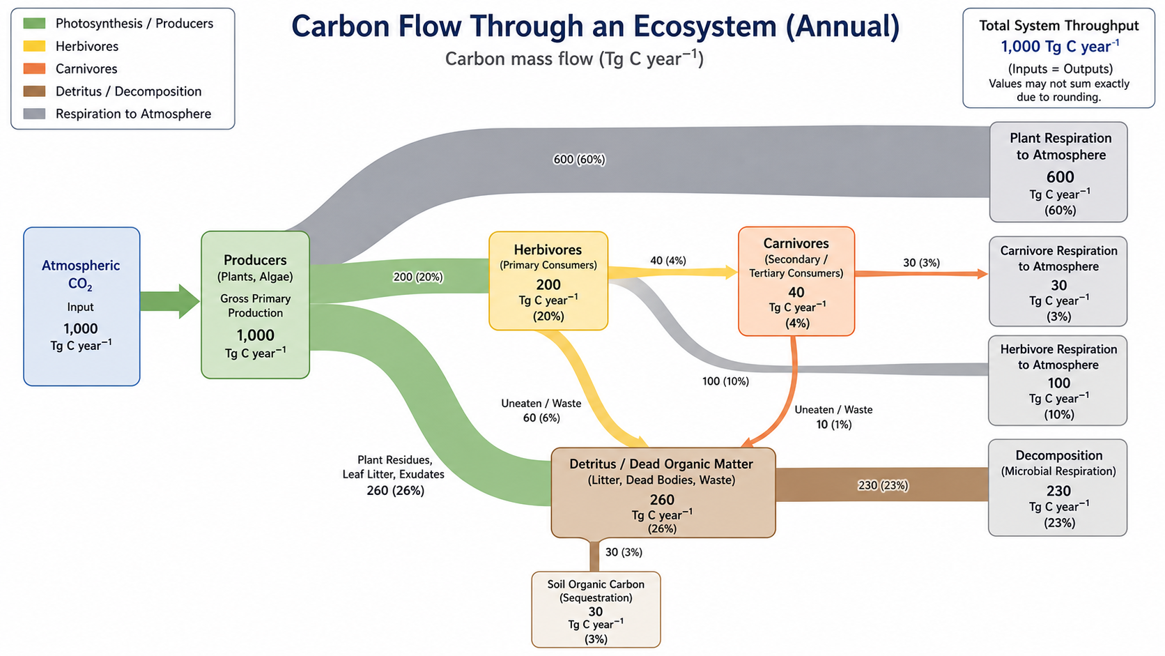 Carbon Flow — Carbon flow through an ecosystem from producers to consumers, with respiration and decomposition branches.