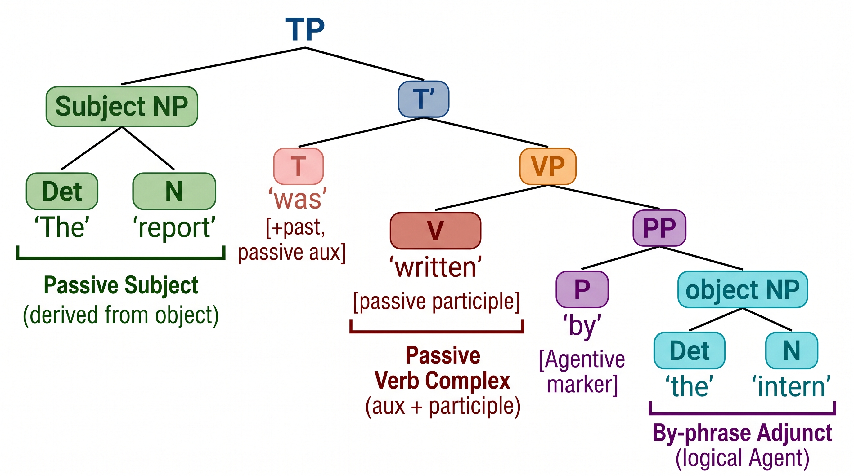 Passivkonstruktion — Phrasenstrukturbaum für einen Passivsatz mit VP-internem Subjekt, be-Auxiliar und von-Phrase (PP-Adjunkt).