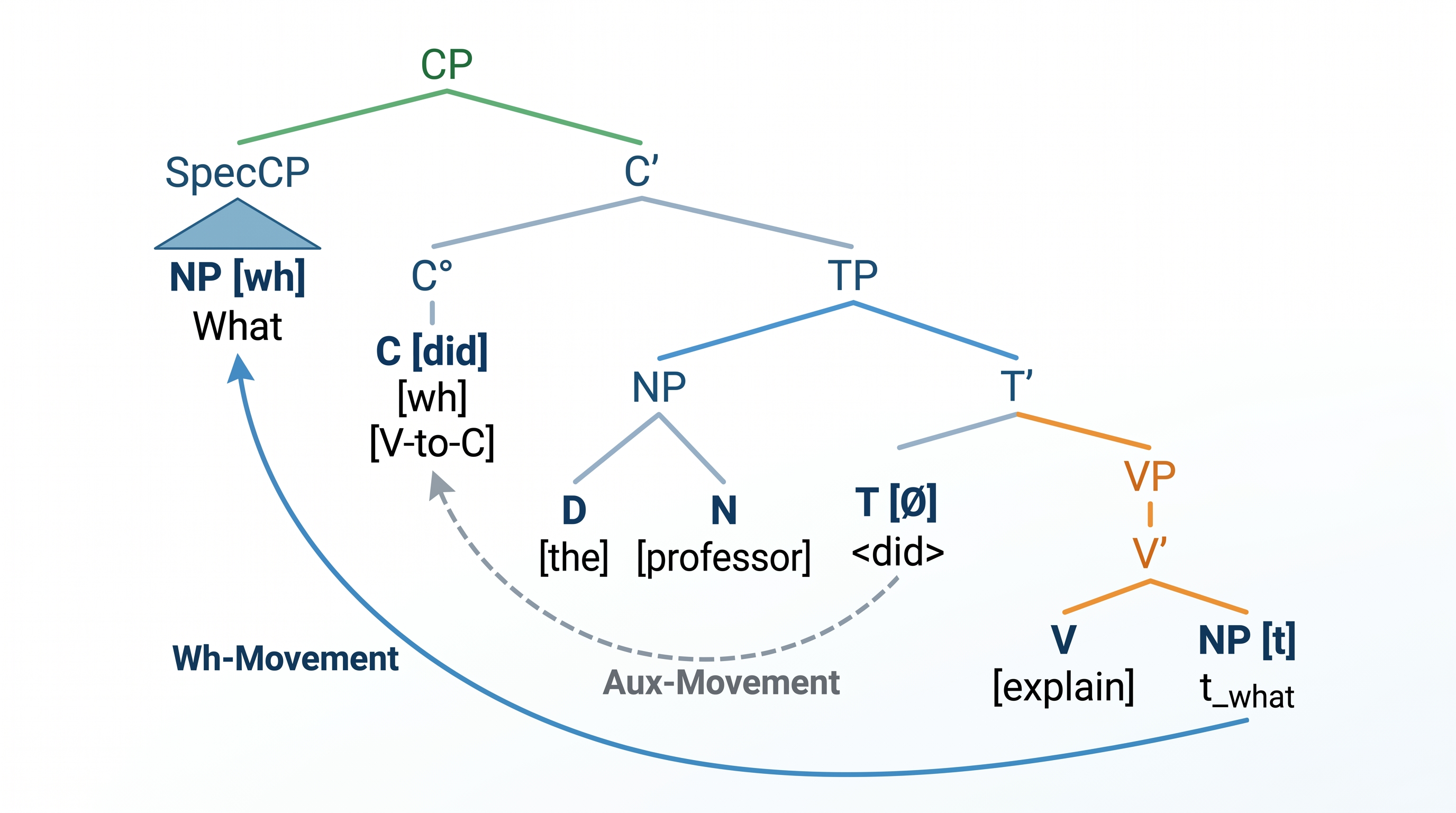 W-Frage-Bewegung — Baum für eine W-Frage wie 'Was hat der Professor erklärt?' mit Illustration der W-Bewegung zu SpecCP und T-zu-C-Anhebung.